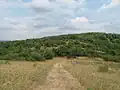 Cesta