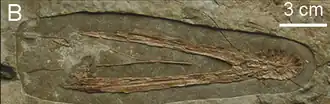 alternativní popis obrázku chybí