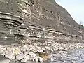 Útes Lias západně od Lyme Regis