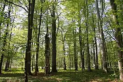 Libějovický park