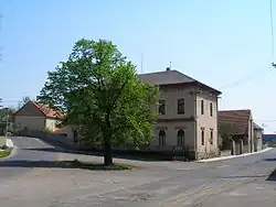 Strom na křižovatce