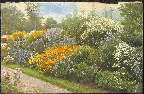 Barevná pohlednice