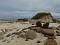 Archeologická lokalita Links of Noltland