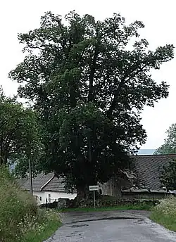 červen 2007