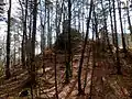 Vršek ruin hradu