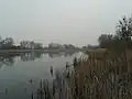 Listové jazero