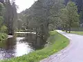 Řeka Divoká Orlice mezi Záchlumím a Liticemi nad Orlicí