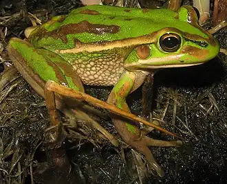 alternativní popis obrázku chybí
