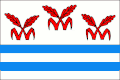 Vlajka obce Litvínovice