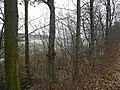 Lodrantský rybník