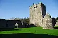 Hrad Achadh na nIúr (Aughnanure Castle)