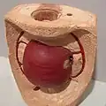 4.