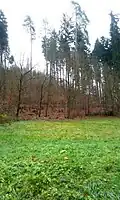 Podzimní louka Pekelského údolí