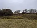 Louky mezi Hrnčířským rybníkem a Jordánem