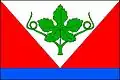 Vlajka obce Lozice