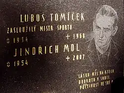 Náhrobek Luboše Tomíčka