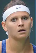 Lucie Šafářová, 2014
