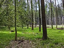 Luhačovice - prostor mohylníku na vrchu Obora (4).jpg