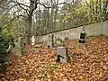 Pozůstatky hřbitova