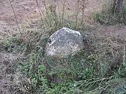 Lukov_Chelčického_Pamětní_kámen_1.JPG
