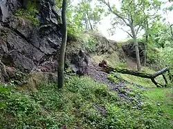 Lůmek u Bečvár (léto 2011)
