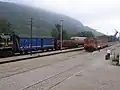 Lupoglav