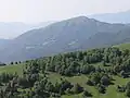 Lysec