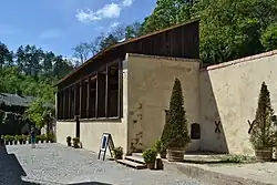fíkovna
