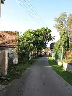 Charakter vsi