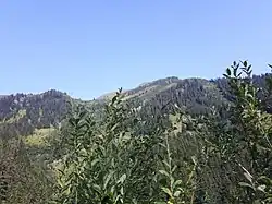 Mölbegg