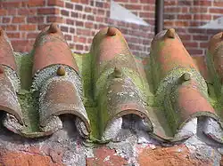 Prejzy (Estonsko)