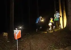 Momentka z lesa