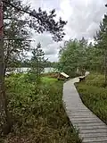 Povalový chodník