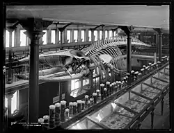 TePapa Interior of Museum Dunedin