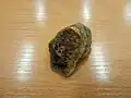Bazaltoid ze Stinného potoka