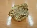 Štěrčíkovitý vápenný pískovec
