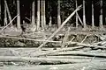 Stojící osoba (vpravo) v dráze laharu s viditelnou linií jeho maximální výšky hladiny, Mount St. Helens 1980
