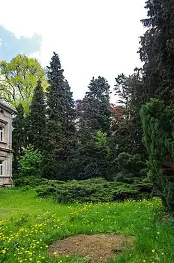 v květnu 2016
