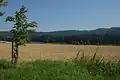 Pohled do krajiny