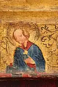 sv. Apolena