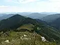 Magura