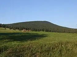 Magura