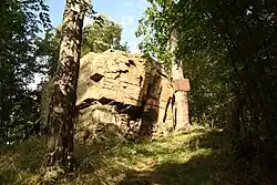 Palliardiho hradiště pojmenované po archeologovi Jaroslavu Palliardim