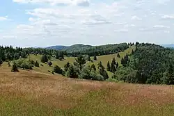 Velký Javorník