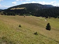 Malá Smrekovica