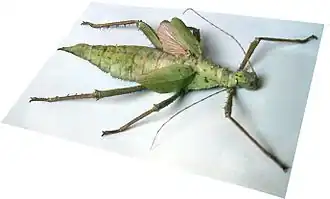alternativní popis obrázku chybí