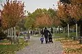 Promenáda