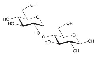 Struktura β-maltózy