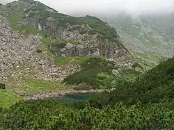 Kačacie pliesko