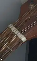 Mandolína